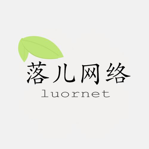 合肥落儿网络科技 扎根庐州大地的数字创新力量