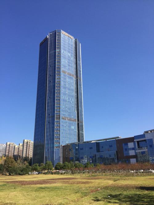 冬麦网络合肥分公司隆重成立